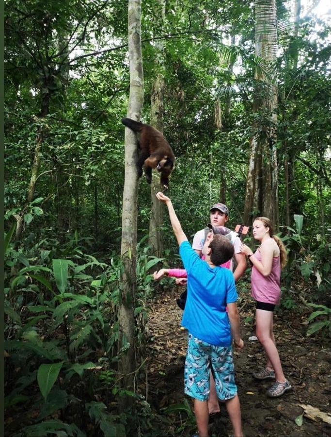 Green Diamond Amazon Lodge Puerto Maldonado Dış mekan fotoğraf