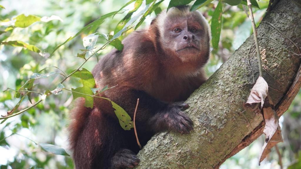 Green Diamond Amazon Lodge Puerto Maldonado Dış mekan fotoğraf