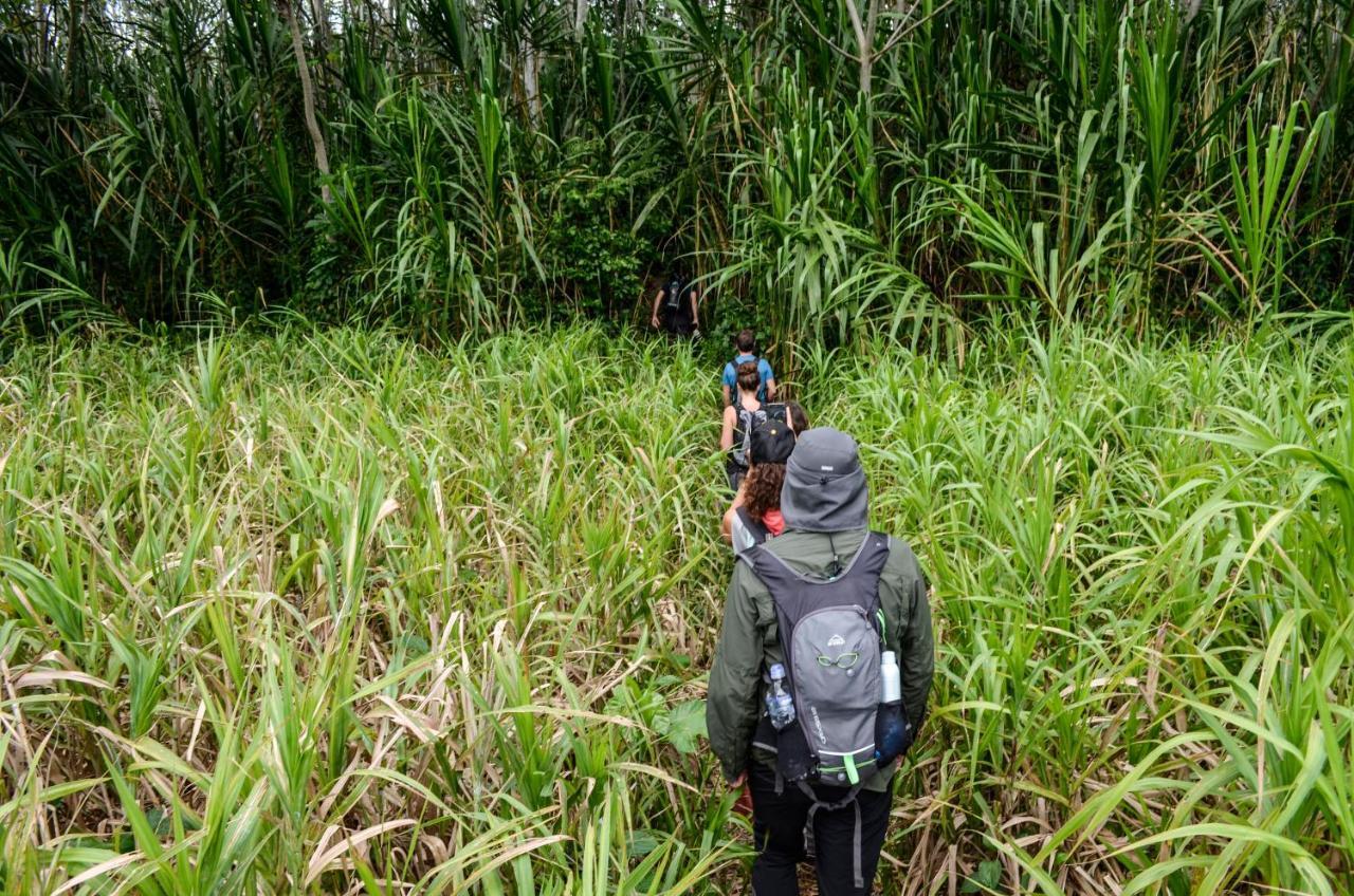Green Diamond Amazon Lodge Puerto Maldonado Dış mekan fotoğraf